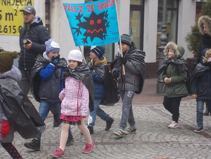 "Dzień Czystego Powietrza" w Pszczynie