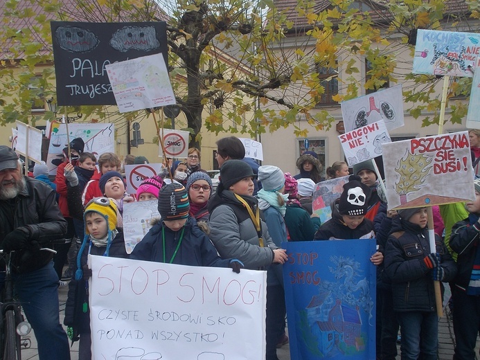 "Dzień Czystego Powietrza" w Pszczynie