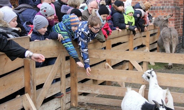 Zwierzęta podobały się nie tylko najmłodszym