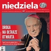 Niedziela 53/2017