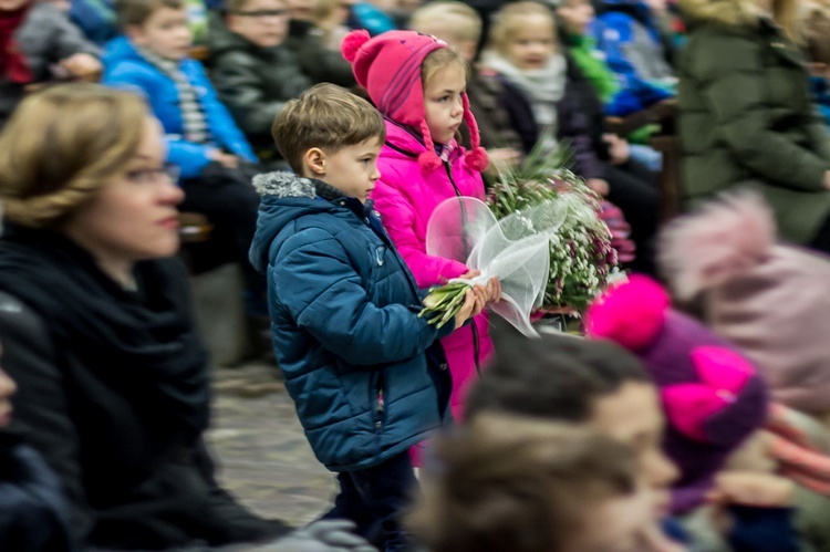 Święto patronalne Katolika