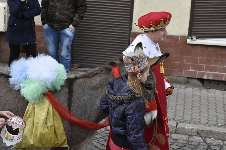 W Świdnicy biało-czerwony pochód