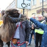 Orszak Trzech Króli w Oleśnicy