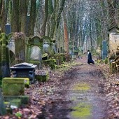 Nad nekropolią górują kilkudziesięcioletnie drzewa. Tworzą niepowtarzalny klimat, ale zagrażają bezpieczeństwu odwiedzających oraz samym nagrobkom.