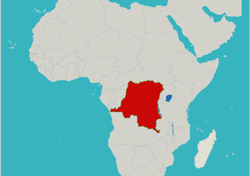 Abp Besungu: w Kongo kampania przeciw Kościołowi
