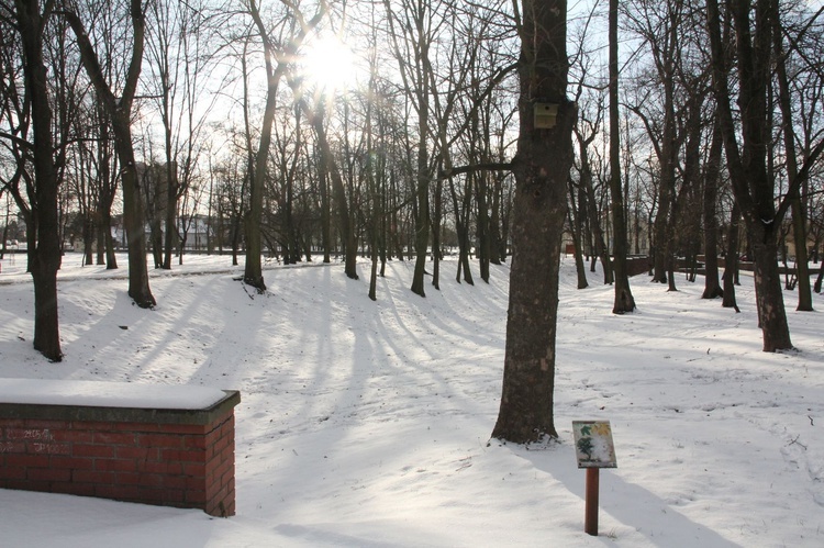 Zimowy Tarnobrzeg