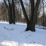 Zimowy Tarnobrzeg