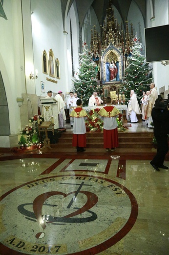 Poświęcenie organów w Lubczy