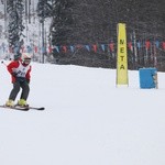 21. Mistrzostwa Polski Księży i Kleryków w Narciarstwie Alpejskim