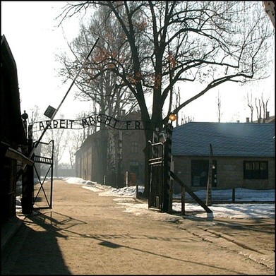 Morawiecki: Arbeit Macht Frei to nie jest polskie zdanie