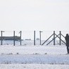 Należy natychmiast zmienić nazwę Majdanek i Auschwitz-Birkenau?