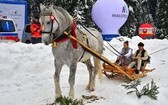 Góralskie wyścigi na śniegu