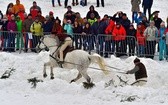 Góralskie wyścigi na śniegu