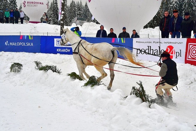 Góralskie wyścigi na śniegu