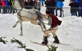 Góralskie wyścigi na śniegu