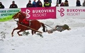 Góralskie wyścigi na śniegu