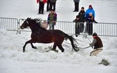 Góralskie wyścigi na śniegu