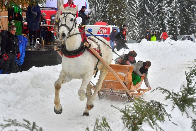 Góralskie wyścigi na śniegu