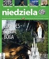 Niedziela 6/2018