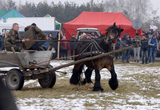 "Wstępy 2018" w Skaryszewie