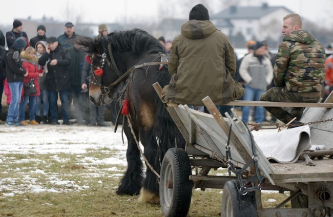 "Wstępy 2018" w Skaryszewie