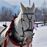 Parada Gazdowska i wyścigi kumoterek