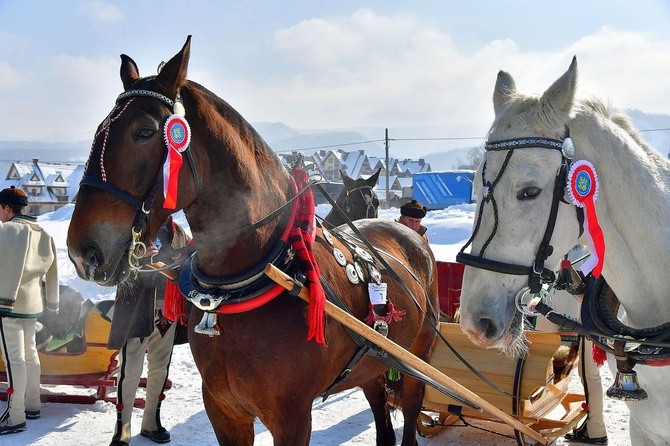 Parada Gazdowska i wyścigi kumoterek