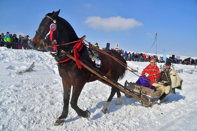 Parada Gazdowska i wyścigi kumoterek