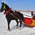 Parada Gazdowska i wyścigi kumoterek