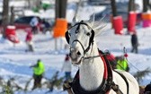 Parada Gazdowska i wyścigi kumoterek