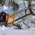 Parada Gazdowska i wyścigi kumoterek