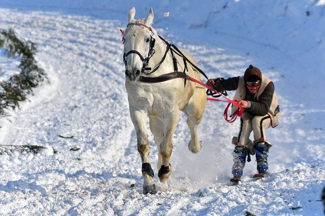 Parada Gazdowska i wyścigi kumoterek