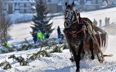 Parada Gazdowska i wyścigi kumoterek