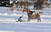 Parada Gazdowska i wyścigi kumoterek