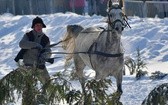 Parada Gazdowska i wyścigi kumoterek