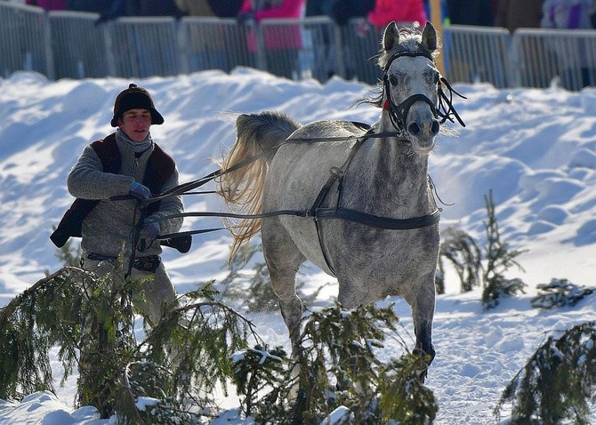 Parada Gazdowska i wyścigi kumoterek