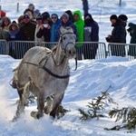 Parada Gazdowska i wyścigi kumoterek