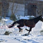 Parada Gazdowska i wyścigi kumoterek