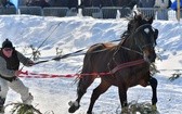 Parada Gazdowska i wyścigi kumoterek