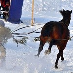 Parada Gazdowska i wyścigi kumoterek