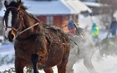 Parada Gazdowska i wyścigi kumoterek