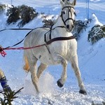 Parada Gazdowska i wyścigi kumoterek