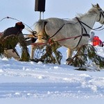 Parada Gazdowska i wyścigi kumoterek