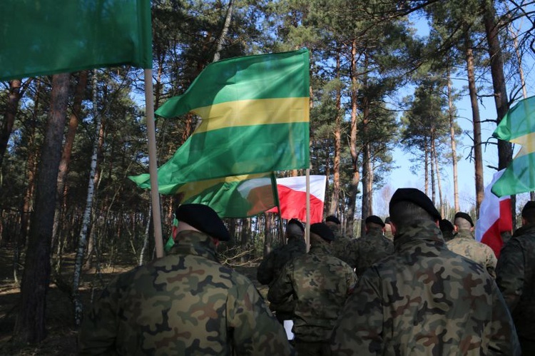 Beg "Wilczym Tropem" w Zielonej Górze