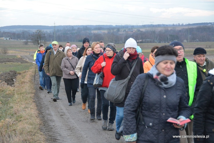 Droga Krzyżowa na Camino 