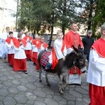 Opole-Szczepanowice: Procesja w Niedzielę Palmową