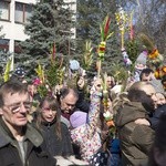 Niedziela Palmowa w Bielańskim Lesie