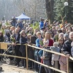 Niedziela Palmowa w Bielańskim Lesie