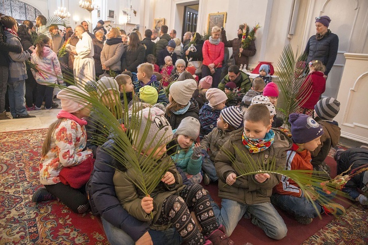 Niedziela Palmowa w Bielańskim Lesie