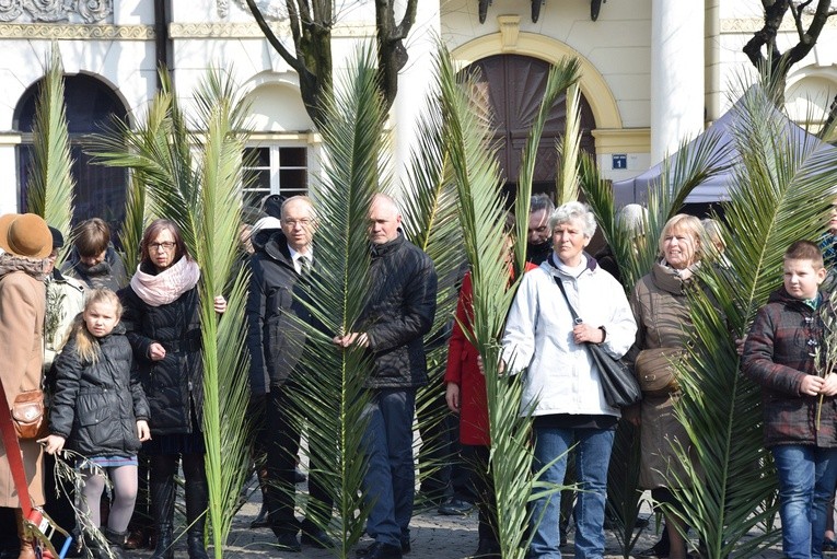 Niedziela Palmowa w Łowiczu
